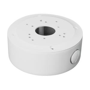 BCS-ATA12456