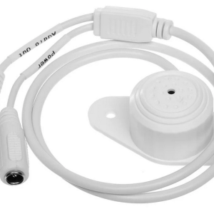 BCS-L-MIC