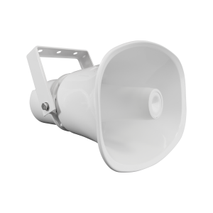 BCS-P-LSIPO30