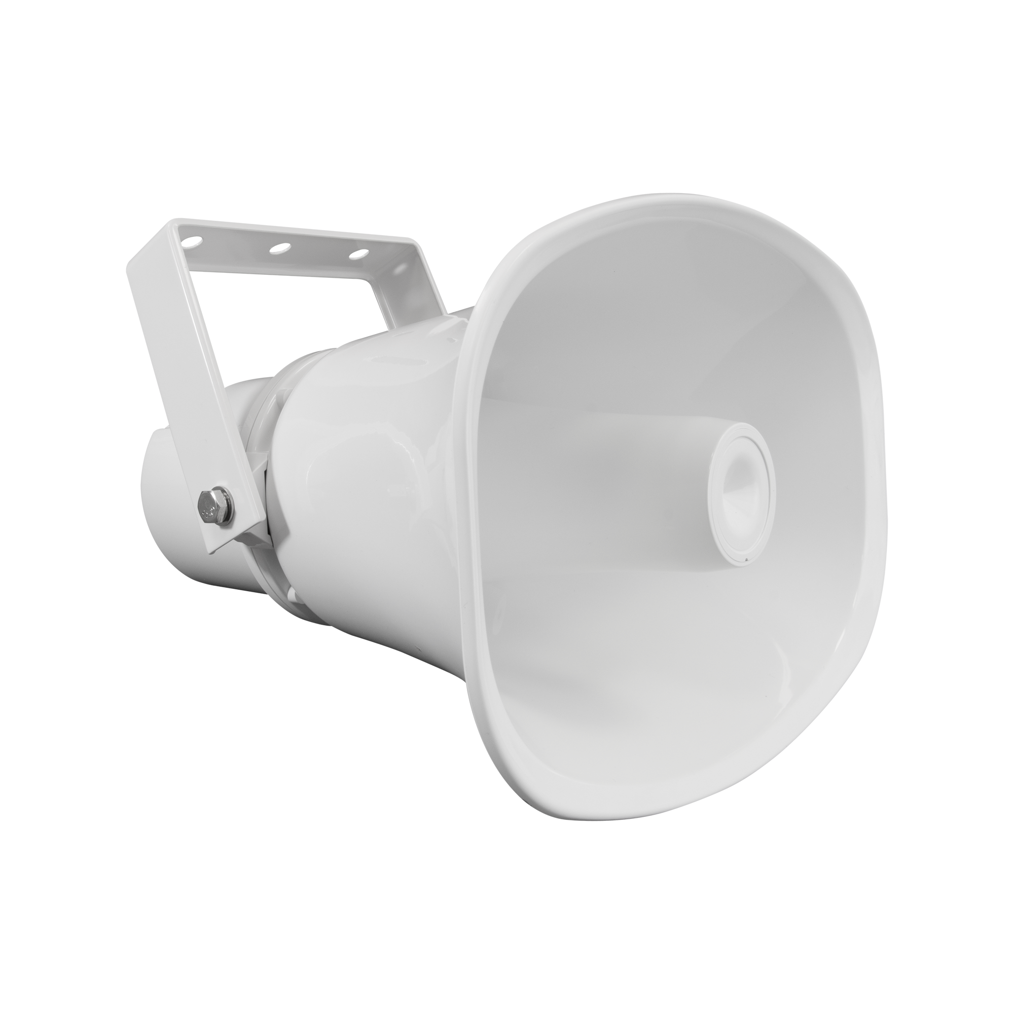 BCS-P-LSIPO30