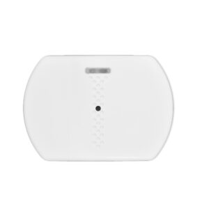 BW-GBD